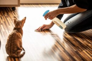 cat spraying 
